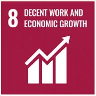 Decent work and economic growth !