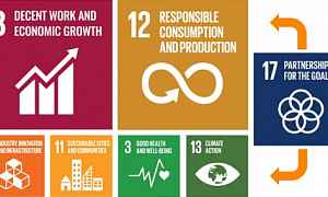 Sustainable Development Goals